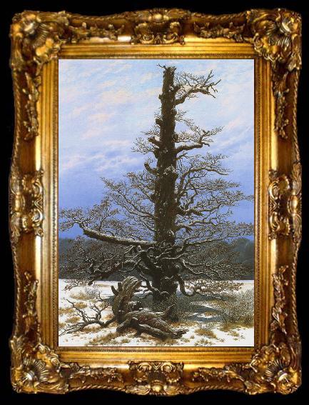 framed  Caspar David Friedrich Oak Tree in the Snow (mk10), ta009-2